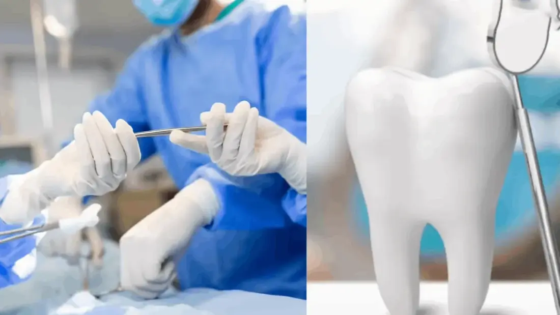 articles2FRGAP8jR5fJmot12PYdxp