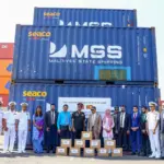 articles2FclE2t29E6WCHMZuJCogv