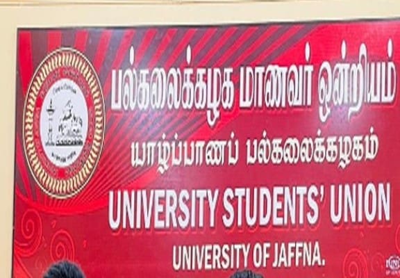 1755448610 1715924733 dddsww