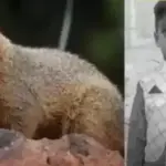 598f3b1b46771512bdcb2a6e7c22524b