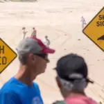 9067632a7b9324a9446ab1814ed08b05