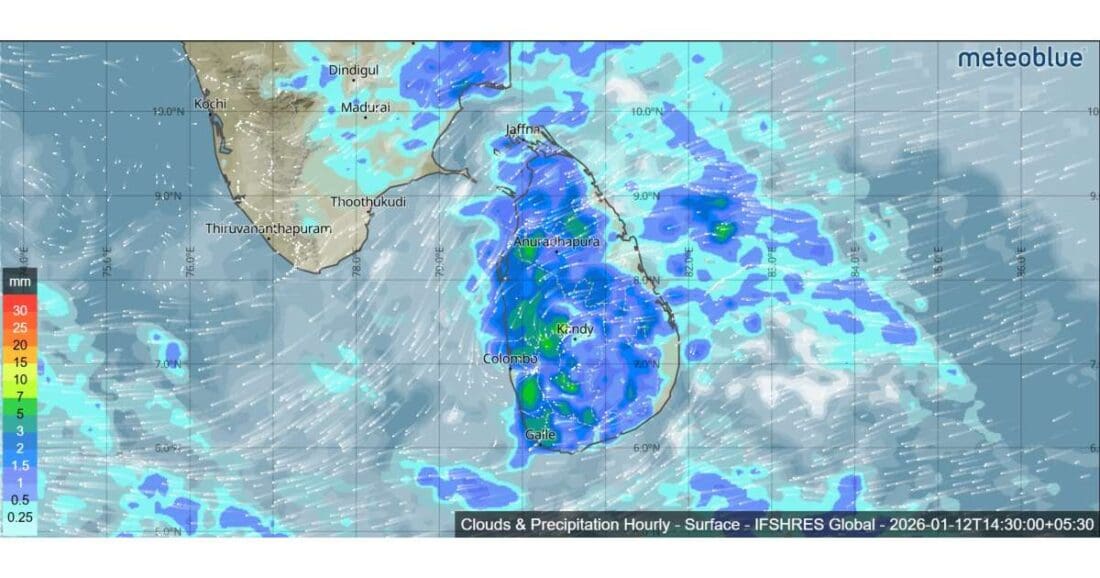 Clouds Precipitation Hourly Surface IFSHRES Global 20260112T1430000530 1