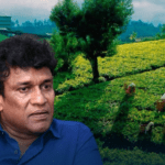 MP Mano demands Rs. 2000 minimum wage for plantation workers in budget