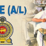 Tumbnail eduwire 113