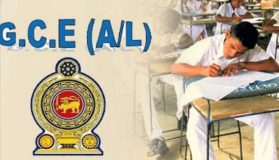 Tumbnail eduwire 113