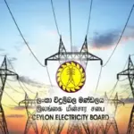 articles2FXx1ANrro9MvNhJiUPv6F