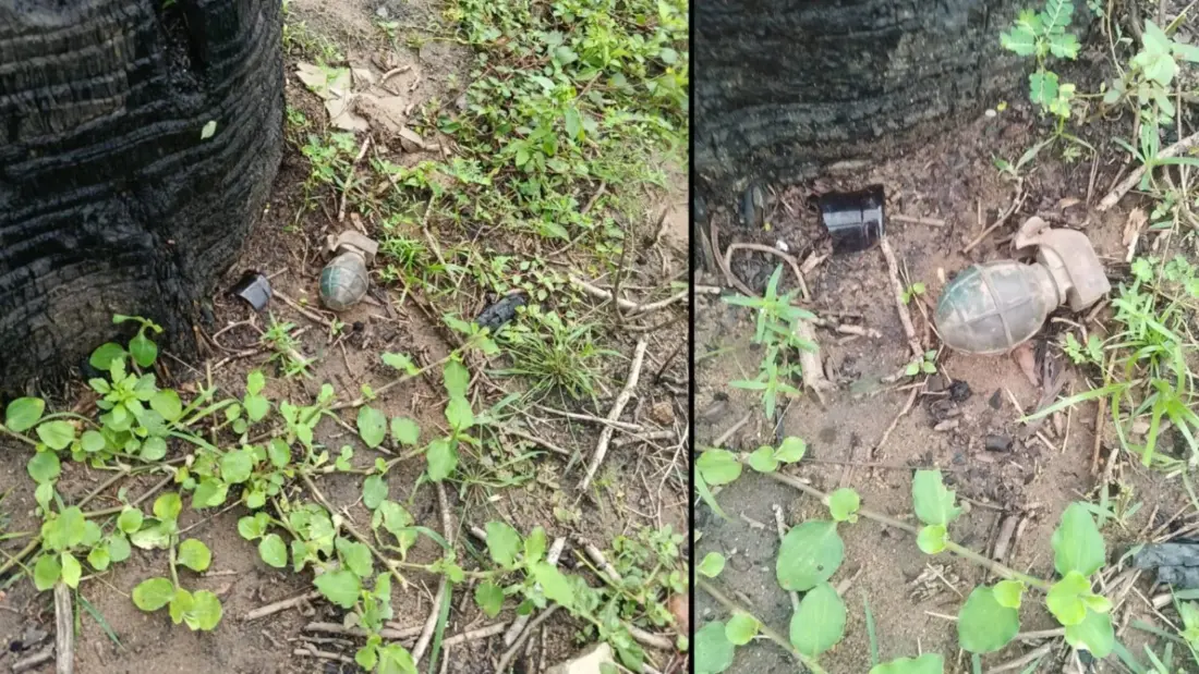 articles2FzixoDT3CyssagQNOiIL2