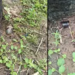 articles2FzixoDT3CyssagQNOiIL2