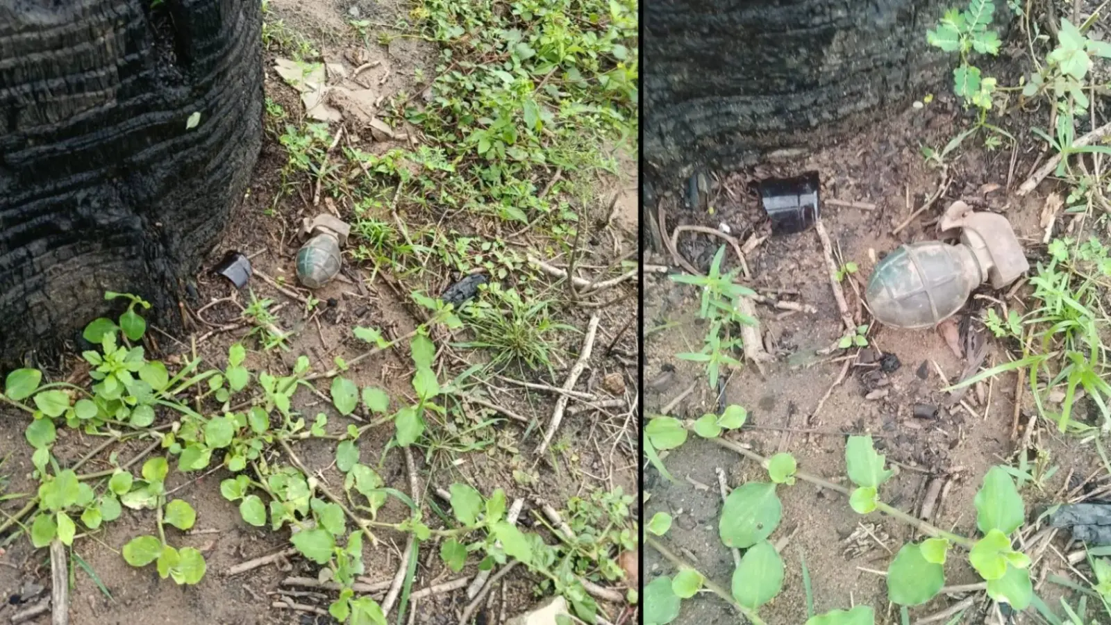 articles2FzixoDT3CyssagQNOiIL2