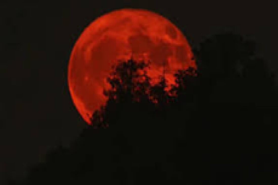 மார்ச் 3-இல் தோன்றும் 'இரத்த நிலவு': 58 நிமிடங்கள் நீடிக்கும் 2026-இன் முதல் சந்திர கிரகணம்! 1 11 1