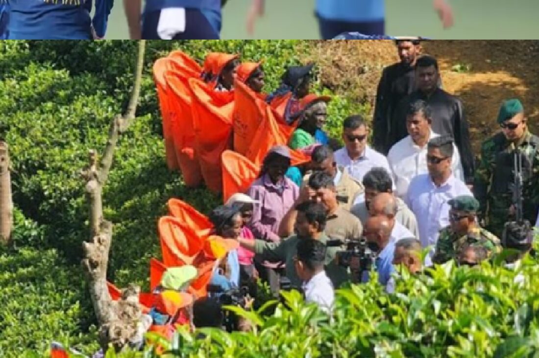சம்பள உயர்வால் மகிழ்ச்சி: ஹப்புத்தளை தோட்டத் தொழிலாளர்கள் பாற்சோறு சமைத்துக் கொண்டாட்டம்! 1 22