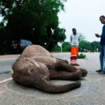 Screenshot 2026 02 10 100440