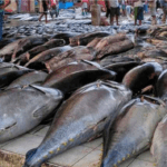 Screenshot 2026 02 10 213606