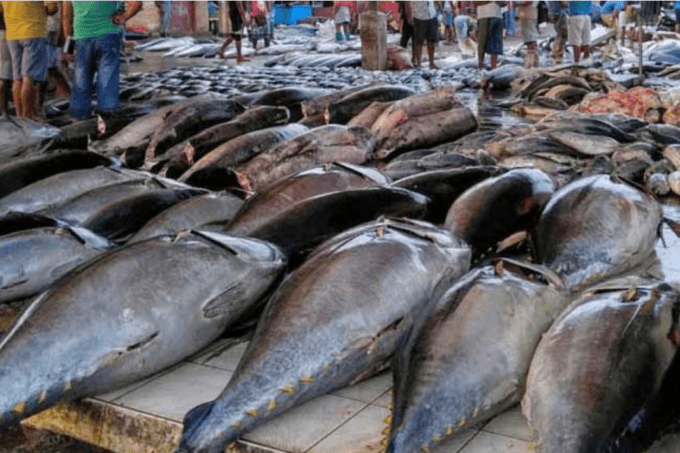 Screenshot 2026 02 10 213606