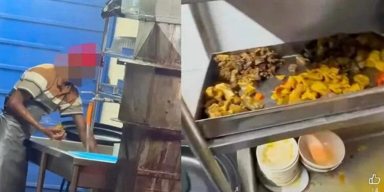 Washing reselling surplus food 750x375 1