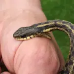 f255d14dbc86150d596e80f2fed4b9cb