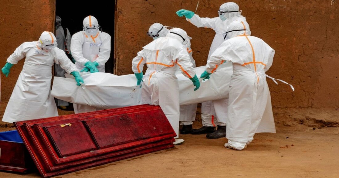 Ebola virus
