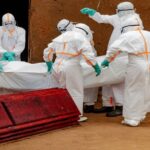 Ebola virus