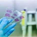 Histopathological examination