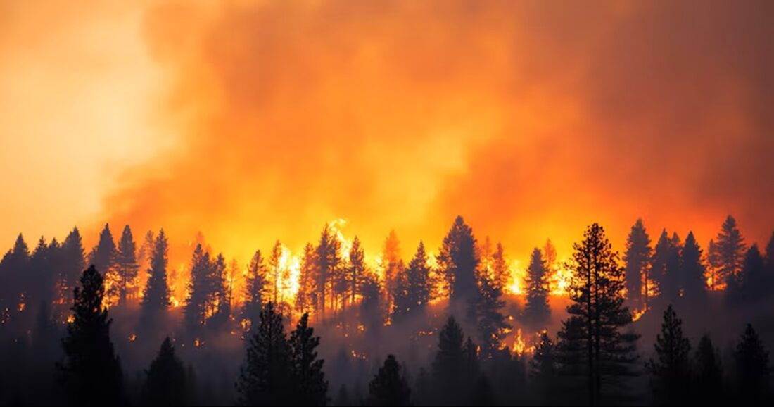 Wild Fire Warning