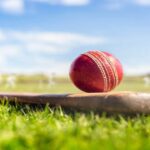 cricket
