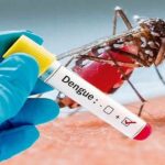 dengue