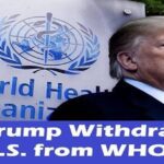 who drump