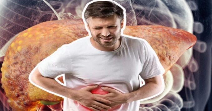 liver