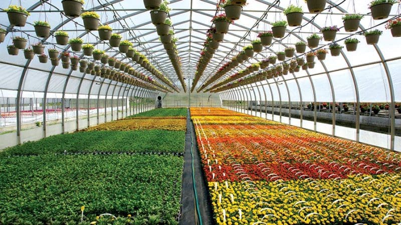 விவசாய பண்ணைகள் அபிவிருத்தி! 1 farm