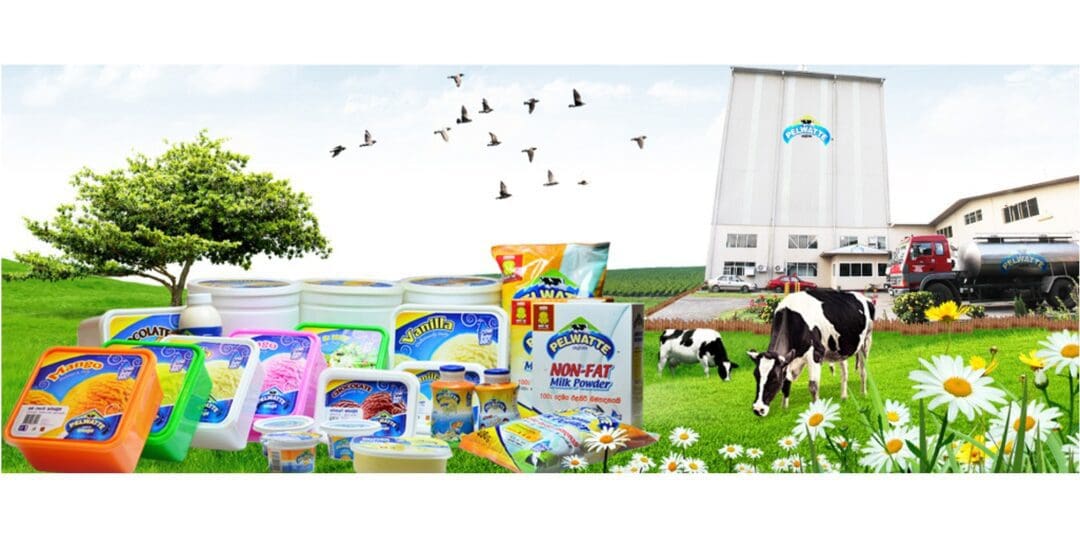 Pelwatte dairy நிறுவனத்தின் புதிய திட்டங்கள் 1 pover scaled