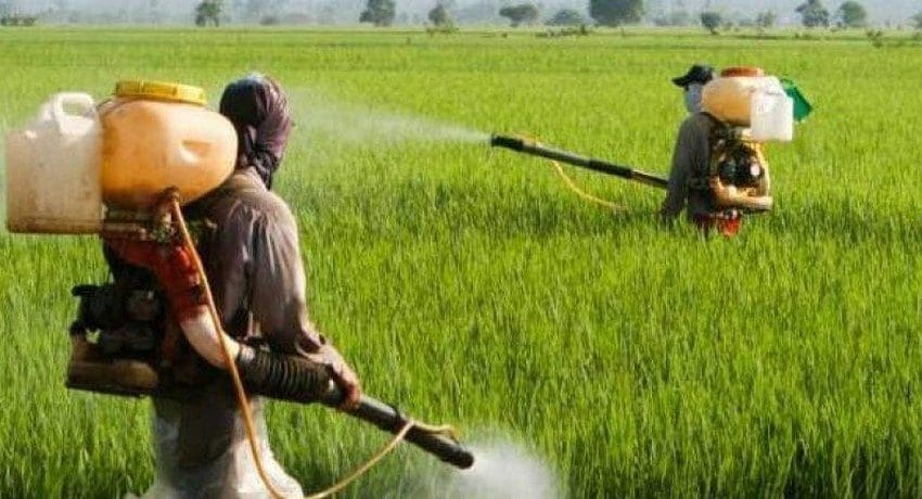 கிளைபோசேட் மீதான தடை நீக்கம்! 1 153fa8f4 2a999309 chemical