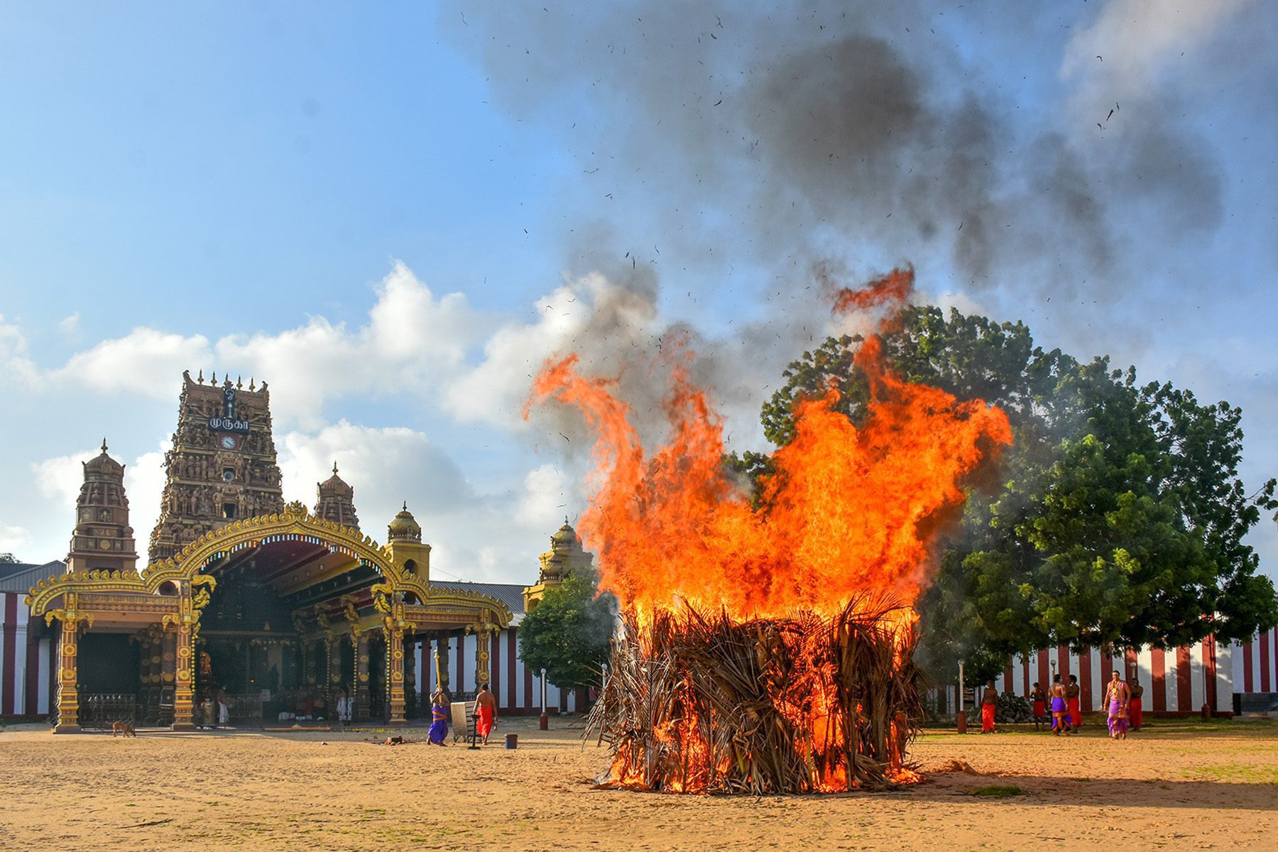நல்லூர் கந்தசுவாமி ஆலயத்தில் திருக்கார்த்திகை நிகழ்வு 12 DSC 2602