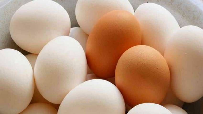 முட்டை தட்டுப்பாடு இல்லை!! 1 EGG 1