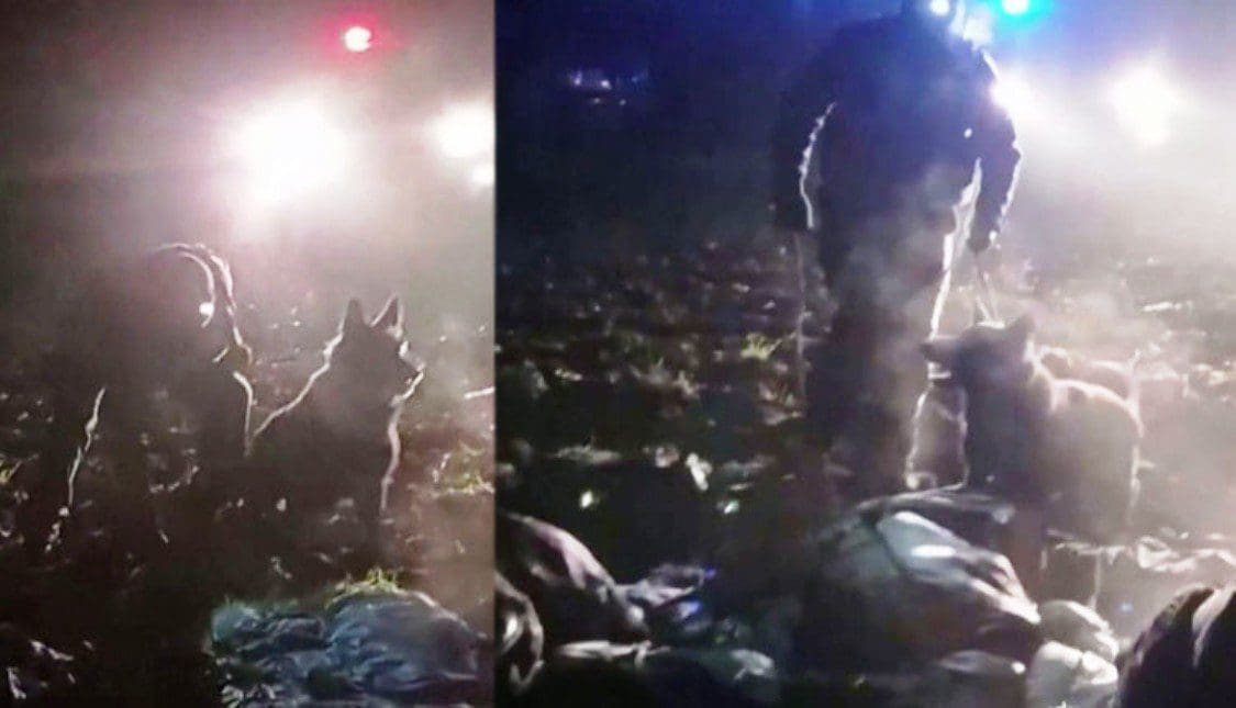 அகதிகளை நாயை விட்டு கடிக்கும் படை வீரர்கள் 1 Refugees leave the dog to bite