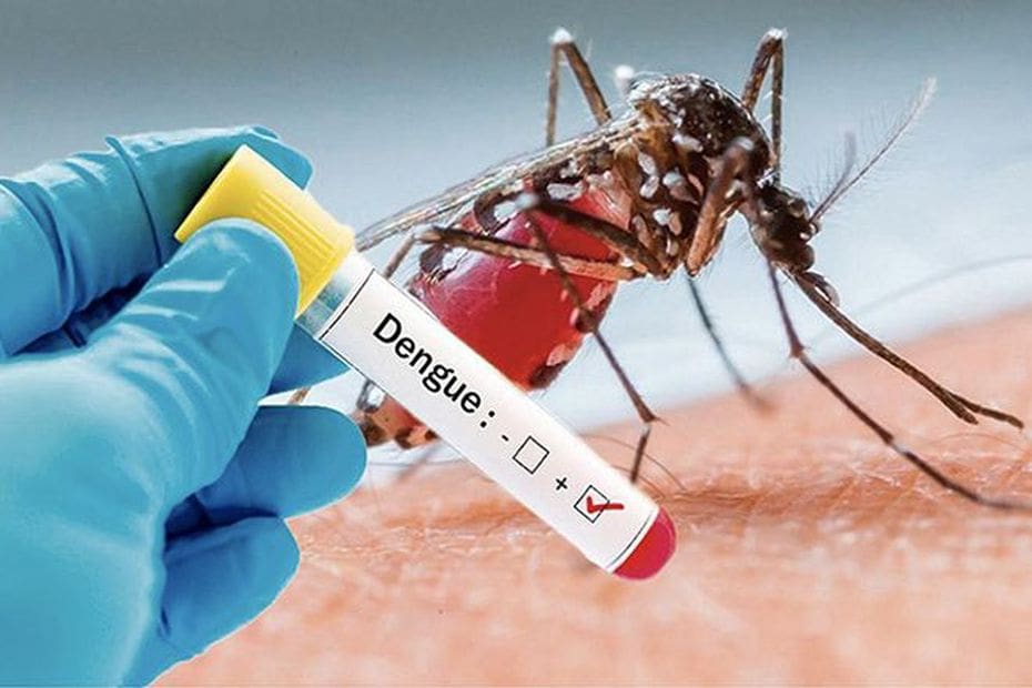 மேல் மாகாணத்தில் அதிகரிக்கும் டெங்கு தாக்கம்!! 1 dengue