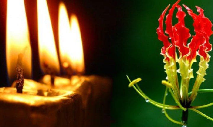 மாவீரர் வாரம் இன்று ஆரம்பம்: பொலிஸாரின் அதிரடி நடவடிக்கை 1 maaveerar naal
