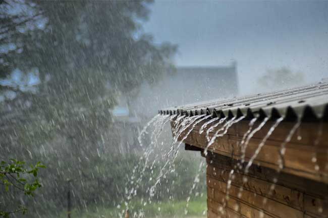 பல இடங்களில் இடியுடன் கூடிய மழைக்கு சாத்தியம்!! 1 1635812679 weather rain new 2