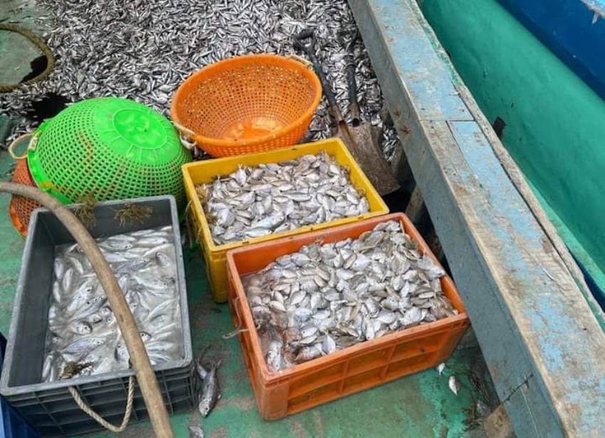 இந்திய மீனவர்களுக்கு டக்ளஸ் பகிரங்க எச்சரிக்கை!! 3 Fisher