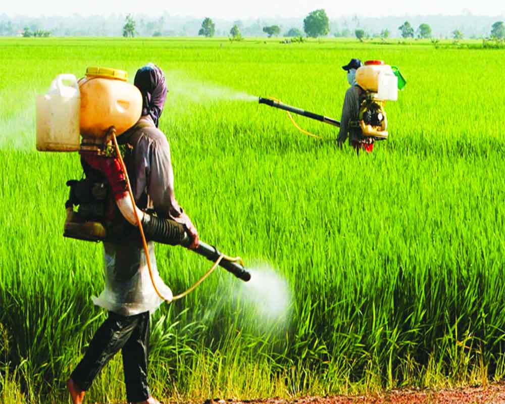 இந்திய உர இறக்குமதி தாமதம் – விவசாய அமைச்சு 1 green the soil 2020 06 09