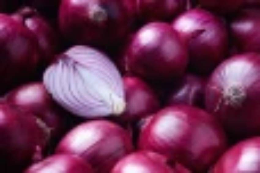 பெரிய வெங்காயத்தின் விலை சடுதியாக உயர்வு! 1 onion