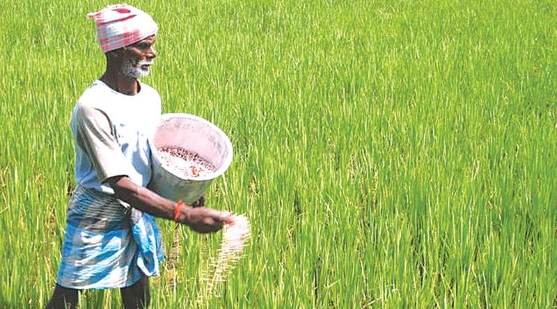 இன்று முதல் உரம் விநியோகம் 1 z p01 Fertiliser