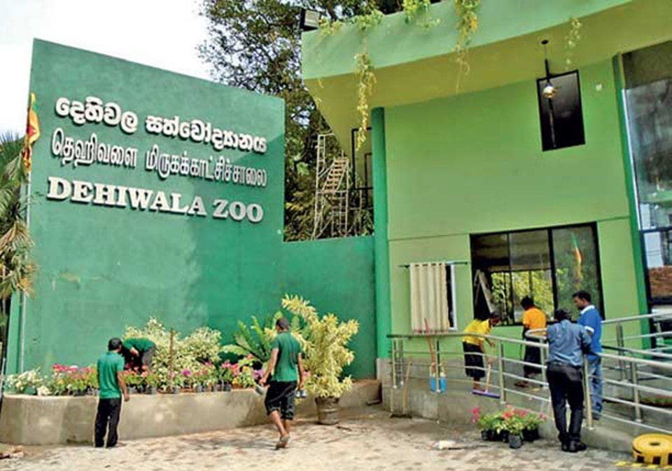 தெஹிவளை மிருகக்காட்சிசாலை ஊழியர்களால் போராட்டம் 1 Dehiwala Zoo