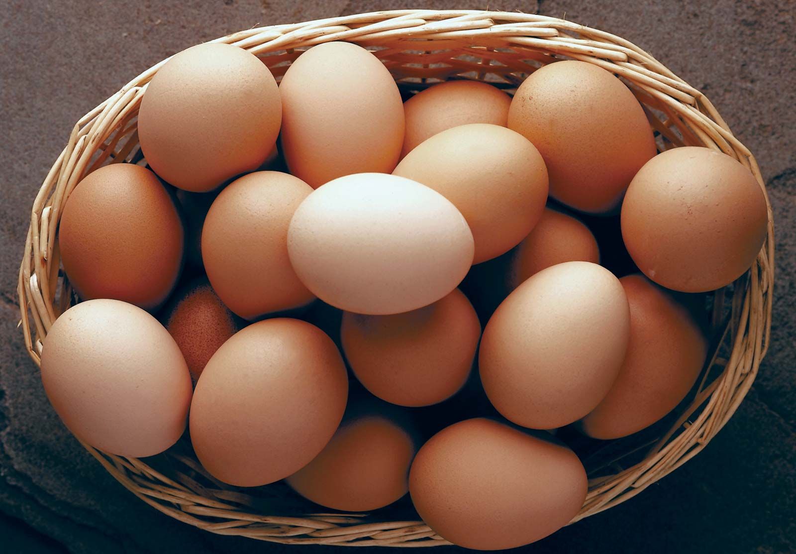 ஐந்து முட்டைகள் விற்பனை! - ஒரு லட்சம் அபராதம் 1 Brown eggs