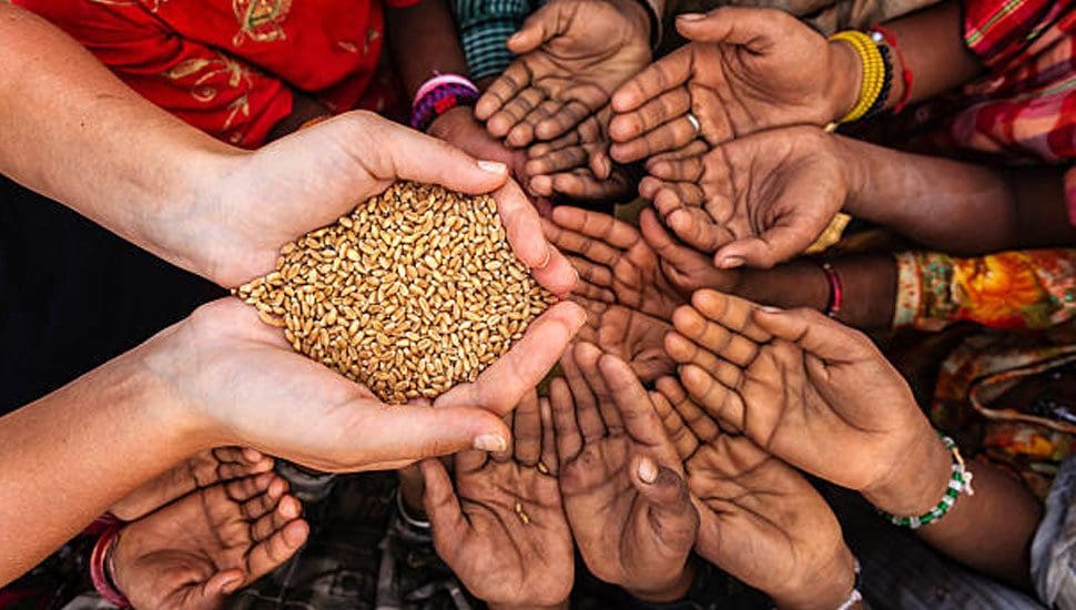 பஞ்சத்தை நோக்கி நாடு! - கொழும்பு பல்கலை பேராசிரியர் எச்சரிக்கை 1 sl