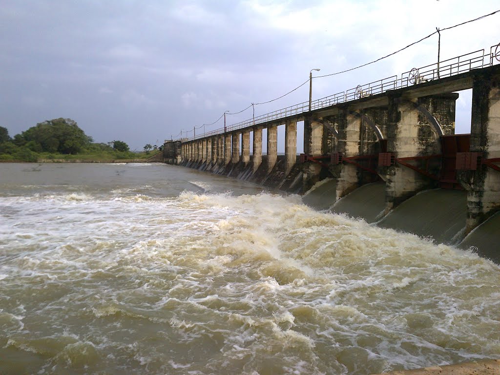 வான் பாயும் கனகாம்பிகை குளம்! - அவதானமாக இருக்குமாறு மக்களிடம் வேண்டுகோள் 1 121527178