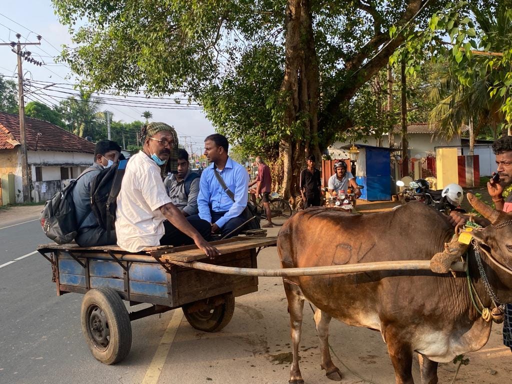 மாட்டு வண்டியில் பாடசாலைக்கு சென்ற யாழ் ஆசிரியர்கள் 2 278917989 2254090584755172 6880342318010246701 n