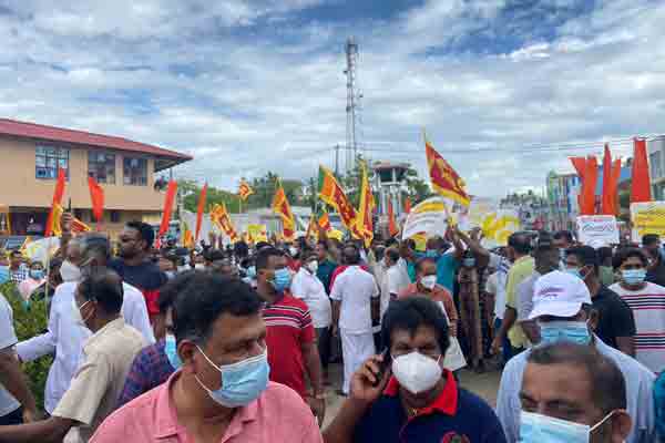 'We want Gota' - ஜனாதிபதிக்கு ஆதரவாகவும் போராட்டம் 2 image f7de482998