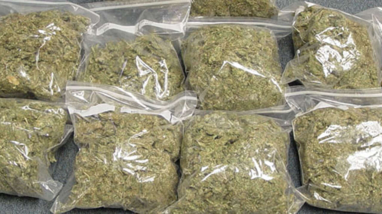 450 கிலோ கேரள கஞ்சாவுடன் ஒருவர் கைது! 1 Kerala cannabis