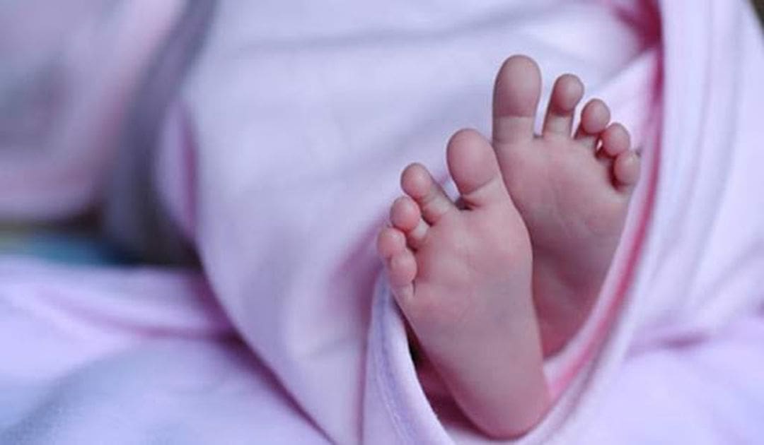 எட்டிப் பார்த்த குழந்தைக்கு எமனாக மாறியது லொறி! 1 குழந்தை மரணம் 1