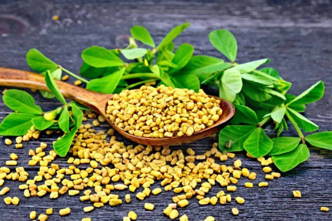 தொடர்ந்து வெந்தயத்தை சாப்பிடுவதால் இவ்வளவு நன்மைகளா? 1 21 600b566fbe247